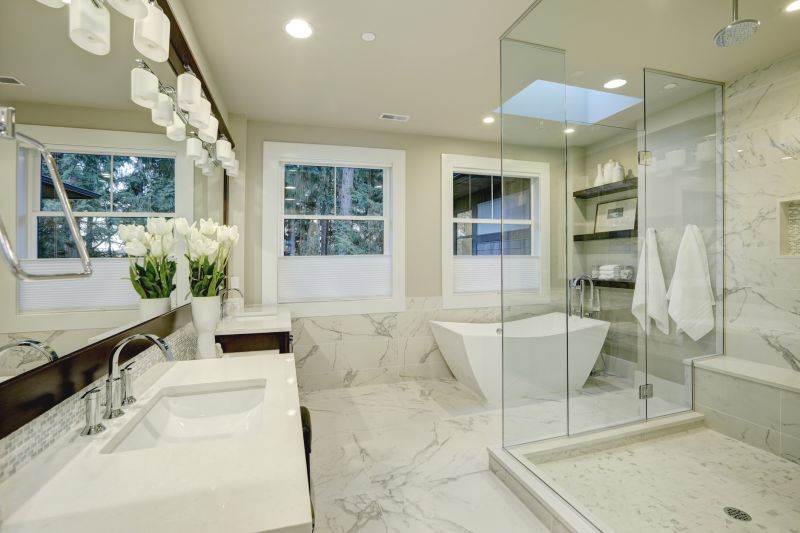Luxurious Tub and Shower Combo